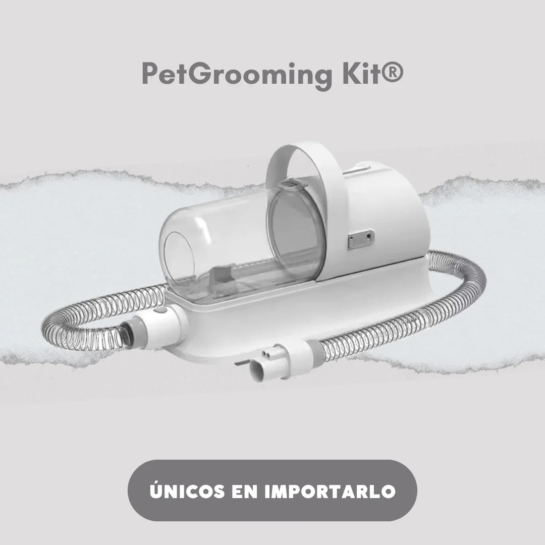 Órden para tu hogar, higiene para tu mascota